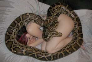 Дайте уже поесть спокойно!
з.ы. я знаю, что на фото не уж.