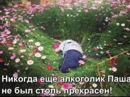 Фотографии, словно пришедшие из страны фантазии