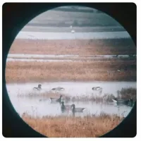 Тогда уж на Юпитере.