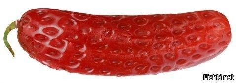 "Иди воевать. Время вышло". Что зашифровала королева в поздравительной телеграмме Путину в 2020 году?