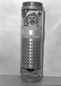 Два полёта НАСА были проведены с выходом в космическое пространство, (оба в 49м году) - приматы в обоих случаях погибли из за отказа парашютов. А вообще первый успешный полёт в космос (не орбитальный) обезьянок, это 1959 год - когда живыми вернулись Эйбл и Бейкер.