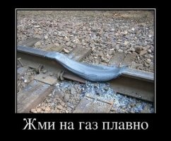 Йожика картинки. Выпуск 205