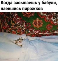 К великому сожалению уходит в прошлое эпоха, бабушки умеющие печь пирожки, вязать, да и просто поделиться мудростью и опытом. На их смену приходят бабушки-тиктокерши, накачаные ботексом, с татуировками на жопе и сиськах, с слабым представлениям как отварить сосиски, не то что пирожки приготовить. Зато с ценными советами как правильно наносить на лицо тонны штукатурки и что замуж надо выходить за миллионера а не занищеброда, а чувства вообще не нужны.