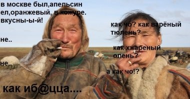 Как в поселках Ямала выращивают овощи, ягоды и цветы