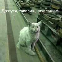 Он же: