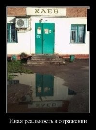 Взрывные и смешные визуальные иллюзии, заставляющие поскрипеть шестеренки мозга