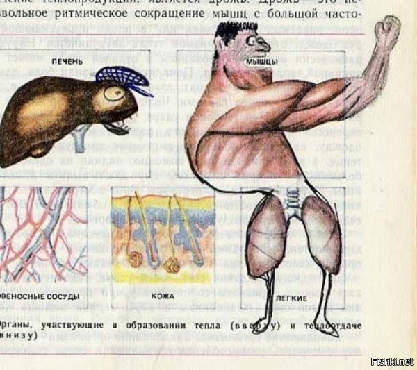Жуть? Вы школьные учебники наверно не видели ))