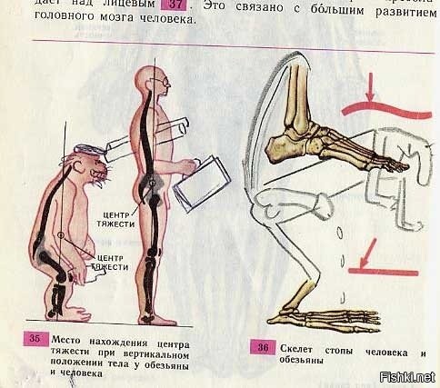 Жуть? Вы школьные учебники наверно не видели ))