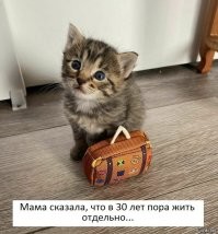 Демотиваторы: зарядись хорошим настроением