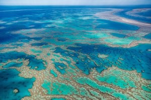 Саргассово море: куча обломков и страх моряков
