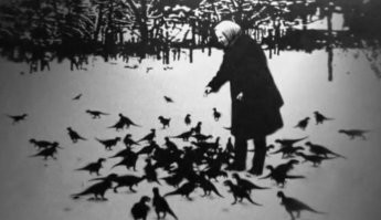 Челябинские голуби