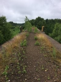 Ни чего интересного не произошло. Это Октябрьский виадук, в Пермском крае село Бартым. Построен в 1918 году. В 70е признан аварийным и заброшен. Ни каких поездов на нем естественно нет. даже рельса там сейчас нет.