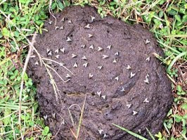 а какие трусы он носил? а на каких унитазах любил сидеть?
Зачем это все? он певец
копания в любых пристрастиях знаменитостей, не связанных с их талантом, выглядит вот так