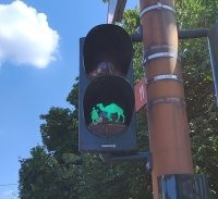 Скоро и надписи появятся для наших афганских сирийских друзей