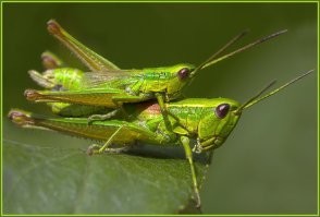 30 уникальных и креативных зданий со всего мира