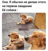 Не ищите здесь смысл. Здесь в основном маразм