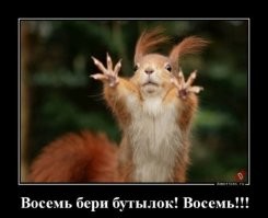 Мужчина подобрал и выходил белочку - и та отказывается от него уходить