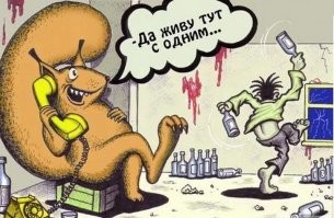 Мужчина подобрал и выходил белочку - и та отказывается от него уходить