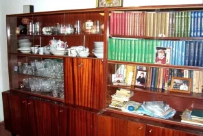 Фумигатор и файлы на нижней полке.