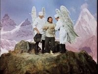 В Бразилии спасатели извлекли из глубокого ущелья абсолютно голого мужчину