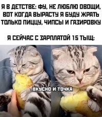 Ничего подобного - "скорая домашняя пицца" (не путать с классической пиццей - домашняя это 1000и1 рецепт и все каноничные) на двойном лаваше готовится быстро и стоит не дорого
- там тоже есть овощи - помидор и соленый огурец
- колбаса обычно самая дешевая по тому что она все равно запекается и впитывает в себя всё остальное
- сыр так же не дорогой и только с парой критериев: должен плавиться и не вонять при этом