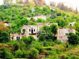 Жители Сектора Газа в курсе, а тебе сейчас расскажу:
На первой картинке - Арабский город Абу Гош, расположенный рядом с Иерусалимом. Его жители - обычные граждане Израиля. Они чтят действующий уголовный кодекс а государство не интересуется, какому богу они молются и на каком языке разговаривают между собой.
На второй картинке Лод - город со смешанным населением. Евреи и Арабы мирно уживаются в соседних домах, посещают одни и те-же магазины, отдают детей в одни и те-же школы а молиться ходят кто-куда. Вот на картинке Храм и Мечеть бог о бок а Синагога там рядышком, просто в кадр не вошла.
А на третей фотографии заброшенная и заросшая деревня Липта. Вокруг нее раскинулся Ирусалим. Земля там стоит, как в Москве. Тем не мение никто не сносит эти дома и не осваивает "золотую" землю. Причина - у каждого из этих домов есть хозяин, живущий как раз в Газе. Этот хозяин может в любой момент приехать в Ирусалим, обратиться в паспортный стол и принять Израильское гражданство. После чего жить и владеть. Ну или продать и купить несколько квартир в неплохом современном доме. А пока владелец не приехал, его собственность стоит неприкосновенной.
(У жителей сектора Газа есть причина не приезжать. Но она не в Израиле)