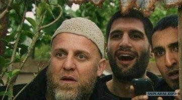 Намешалось