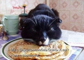 17 фотографий наглых котов, чьё первое имя — пакость
