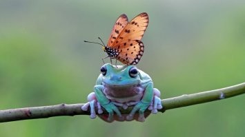 Фотоподборка