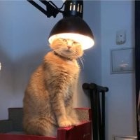 Просто вы были так настойчивы