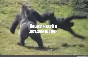 В США неуравновешенный подросток разгромил родительский дом из-за запрета на телефон