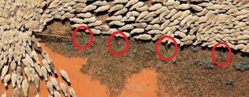 10 загадочных вещей, о предназначении которых сразу и не догадаешься