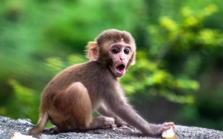 Ну как же? А вот с этим они очень даже дружат!