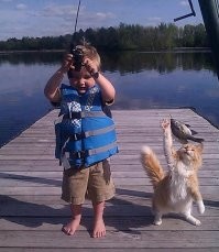 17 фотографий наглых котов, чьё первое имя — пакость