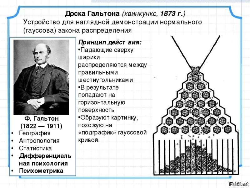 Смешные и познавательные картинки