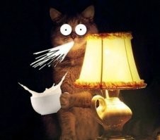 Рождённые взамен утраченных: загадочная история близняшек Поллок