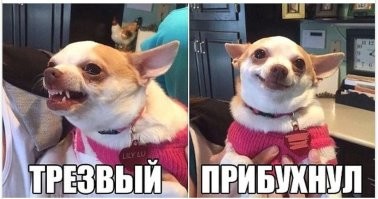 Алкопост на вечер этой пятницы