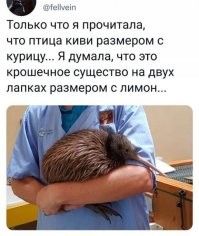 Смешные и познавательные картинки