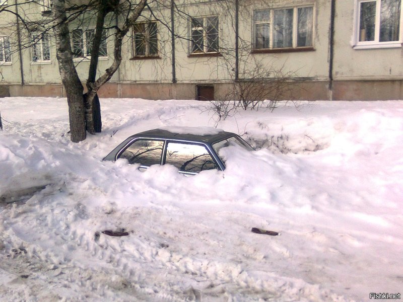 Подснежниками называют брошенную во дворе машину на всю зиму. Я как-то такую Таврию КАМАЗом раздавил, договорились с владельцем на 2 тыс.руб.
Фото не моё. Вот подснежник.