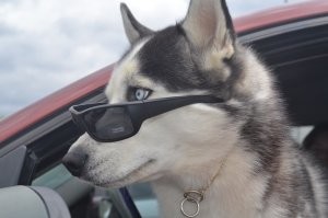 А это наш.