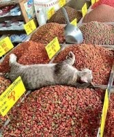 Меня поразил кошачий корм на развес. Впервые такое вижу.