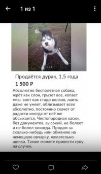 Хаски..))