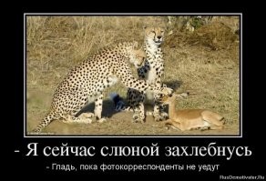 Не ищите здесь смысл. Здесь в основном маразм