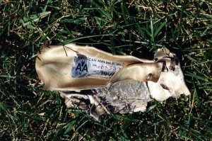 не спрашиваем. вот он.