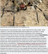 Ну вас нафиг с ТАКОЙ перспективой