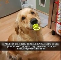 Не ищите здесь смысл. Здесь в основном маразм