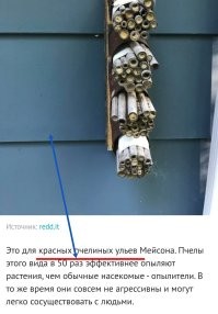 15 человек, которым попались загадочные предметы