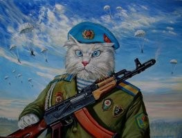 Кот-экстремал напугал своих хозяев