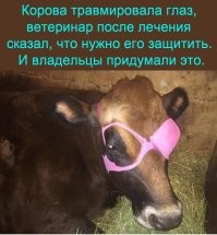 Почему-то эта вспомнилась