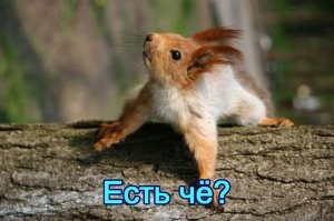 Фотоподборка